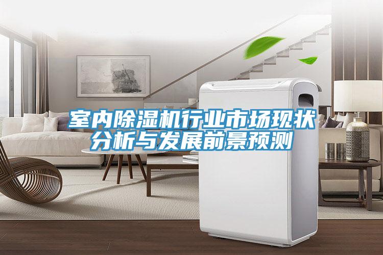 室內榴莲视频官网APP行業市場現狀分析與發展前景預測