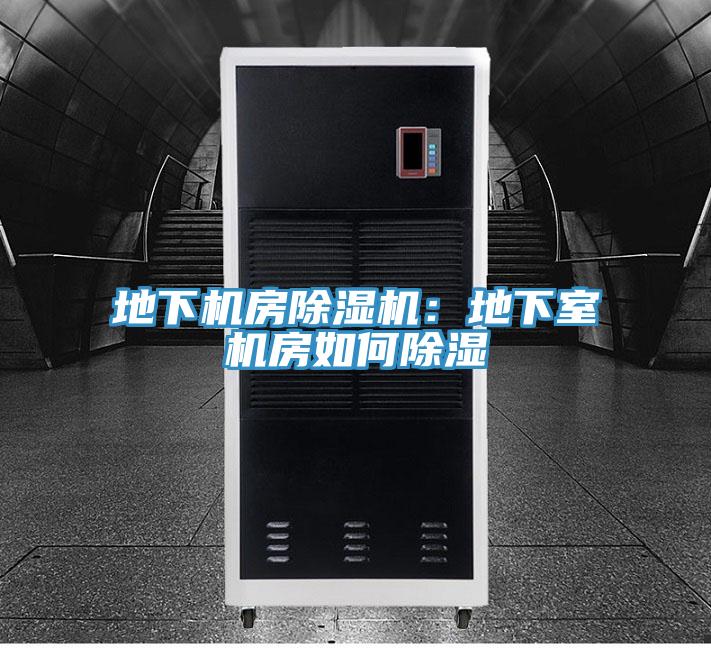 地下機房榴莲视频官网APP：地下室機房如何除濕