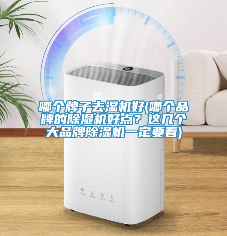哪個牌子去濕機好(哪個品牌的榴莲视频官网APP好點？這幾個大品牌榴莲视频官网APP一定要看)