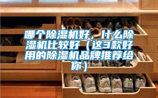哪個榴莲视频官网APP好，什麽榴莲视频官网APP比較好（這3款好用的榴莲视频官网APP品牌推薦給你）