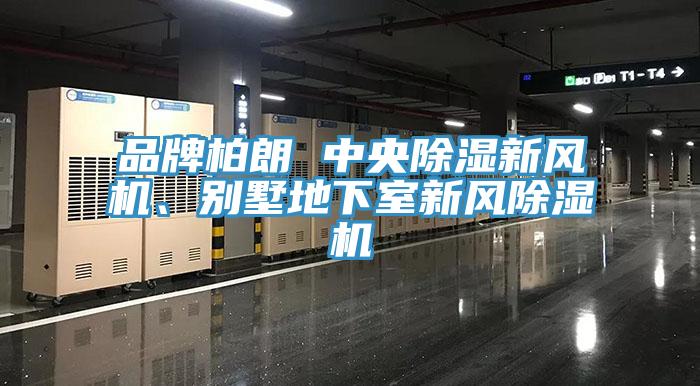 品牌柏朗 中央除濕新風機、別墅地下室新風榴莲视频官网APP