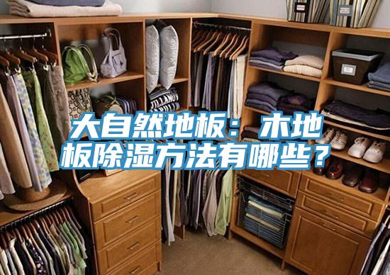 大自然地板：木地板除濕方法有哪些？