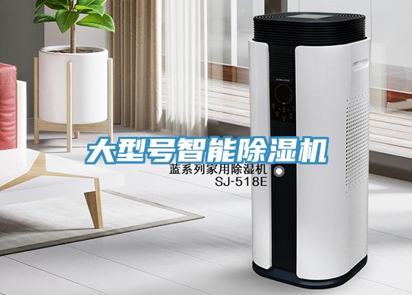 大型號智能榴莲视频官网APP
