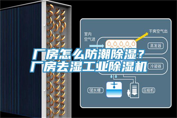 廠房怎麽防潮除濕？廠房去濕工業榴莲视频官网APP