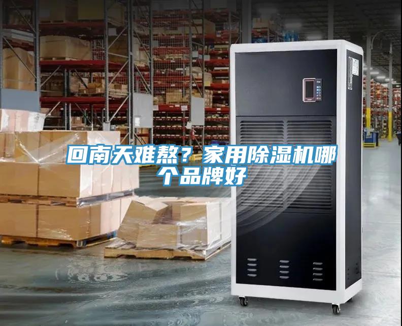 回南天難熬？家用榴莲视频官网APP哪個品牌好