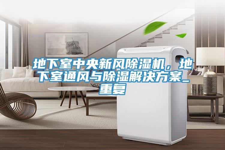 地下室中央新風榴莲视频官网APP，地下室通風與除濕解決方案_重複