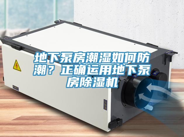 地下泵房潮濕如何防潮？正確運用地下泵房榴莲视频官网APP