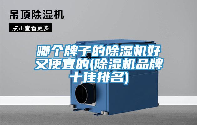 哪個牌子的榴莲视频官网APP好又便宜的(榴莲视频官网APP品牌十佳排名)