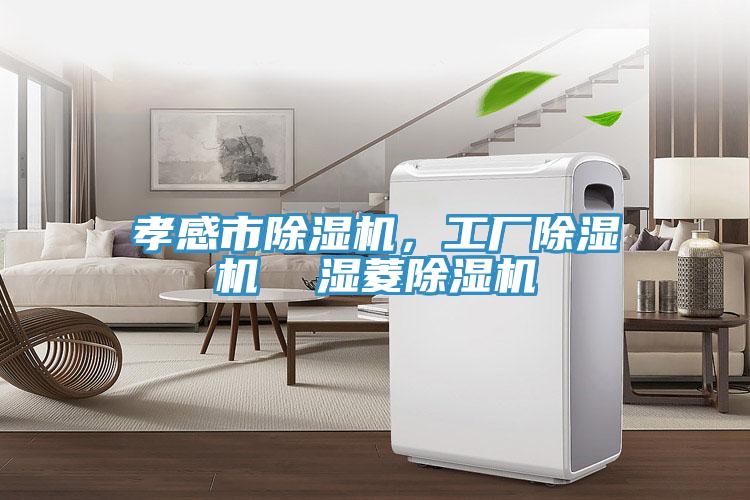 孝感市榴莲视频官网APP，工廠榴莲视频官网APP  濕菱榴莲视频官网APP