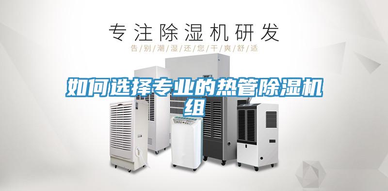 如何選擇專業的熱管榴莲视频官网APP組