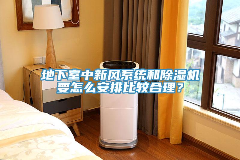 地下室中新風係統和榴莲视频官网APP要怎麽安排比較合理？