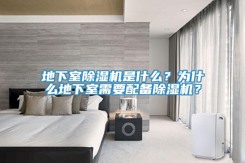 地下室榴莲视频官网APP是什麽？為什麽地下室需要配備榴莲视频官网APP？
