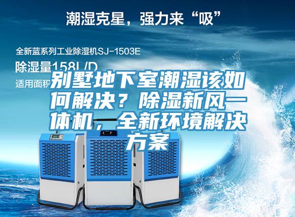 別墅地下室潮濕該如何解決？除濕新風一體機，全新環境解決方案
