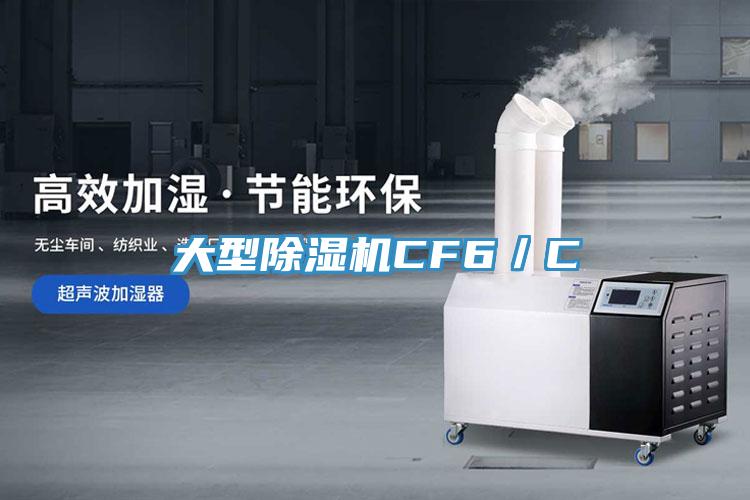 大型榴莲视频官网APPCF6／C