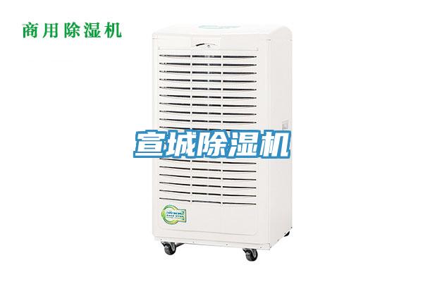 宣城榴莲视频官网APP