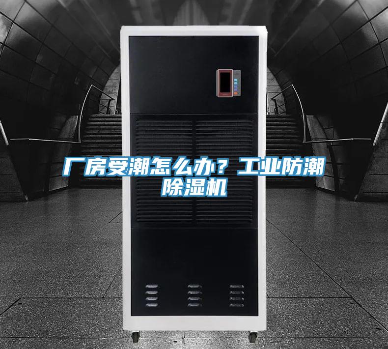 廠房受潮怎麽辦？工業防潮榴莲视频官网APP