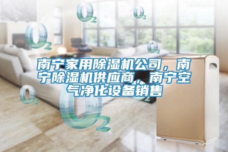南寧家用榴莲视频官网APP公司，南寧榴莲视频官网APP供應商，南寧空氣淨化設備銷售