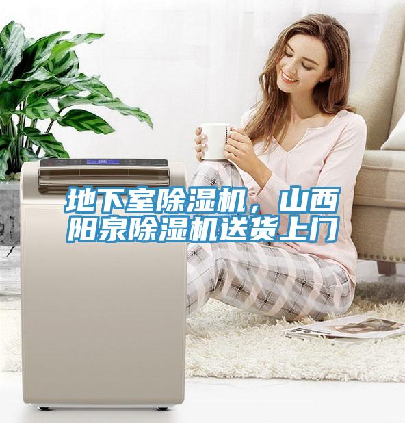 地下室榴莲视频官网APP，山西陽泉榴莲视频官网APP送貨上門