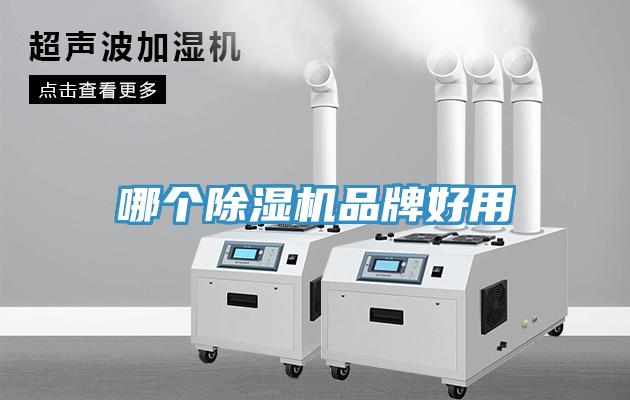哪個榴莲视频官网APP品牌好用