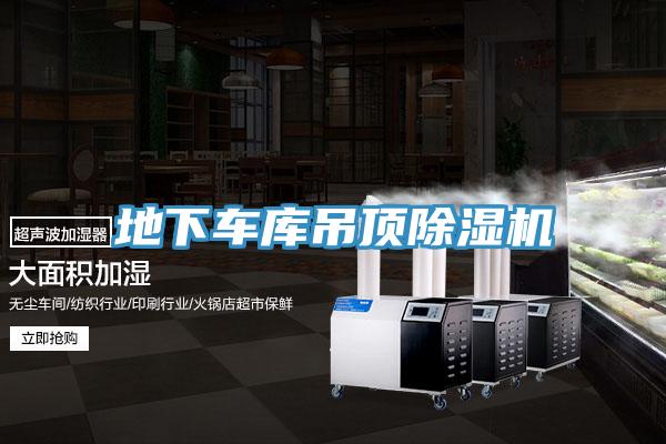 地下車庫吊頂榴莲视频官网APP