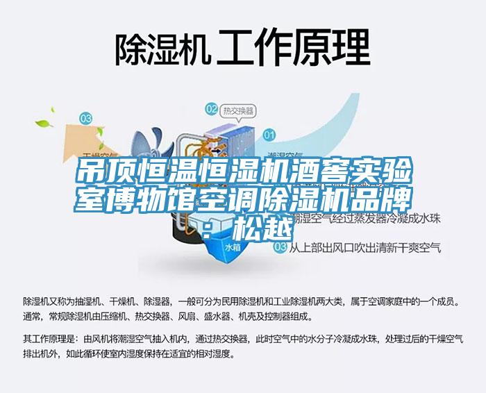 吊頂恒溫恒濕機酒窖實驗室博物館空調榴莲视频官网APP品牌：鬆越