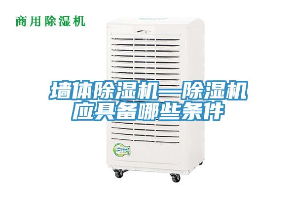 牆體榴莲视频官网APP—榴莲视频官网APP應具備哪些條件