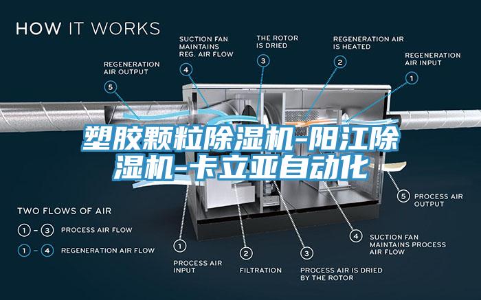 塑膠顆粒榴莲视频官网APP-陽江榴莲视频官网APP-卡立亞自動化