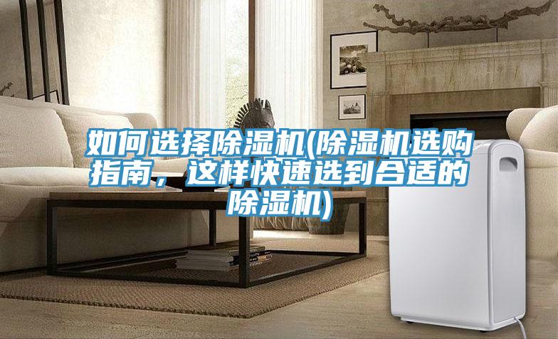 如何選擇榴莲视频官网APP(榴莲视频官网APP選購指南，這樣快速選到合適的榴莲视频官网APP)