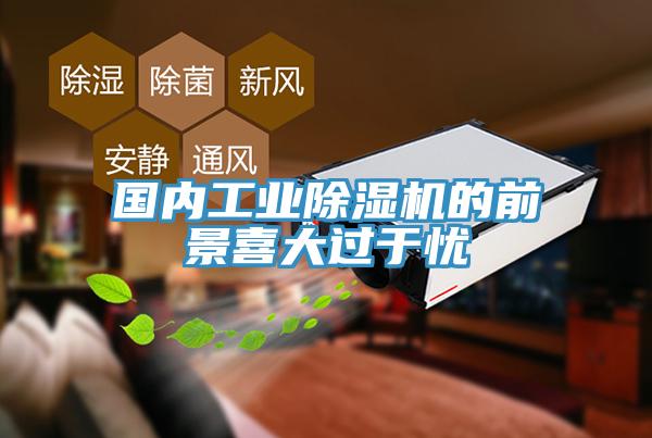 國內工業榴莲视频官网APP的前景喜大過於憂