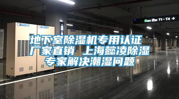 地下室榴莲视频官网APP專用認證 廠家直銷 上海懿淩除濕專家解決潮濕問題