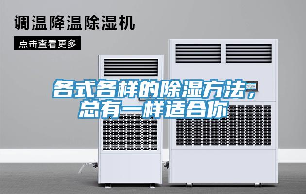 各式各樣的除濕方法，總有一樣適合你