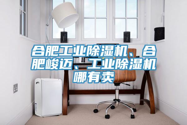 合肥工業榴莲视频官网APP、合肥峻邁、工業榴莲视频官网APP哪有賣