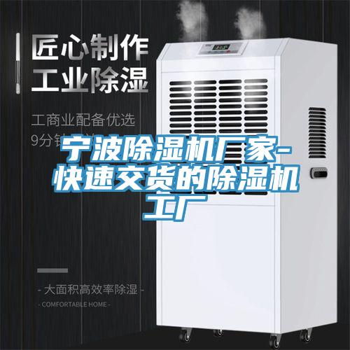 寧波榴莲视频官网APP廠家-快速交貨的榴莲视频官网APP工廠