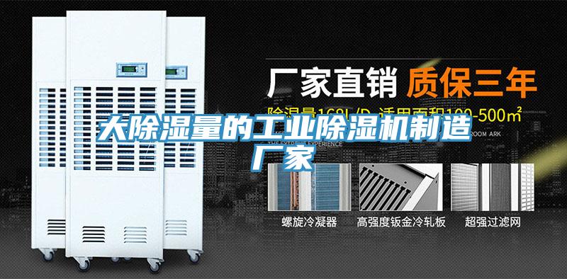 大除濕量的工業榴莲视频官网APP製造廠家