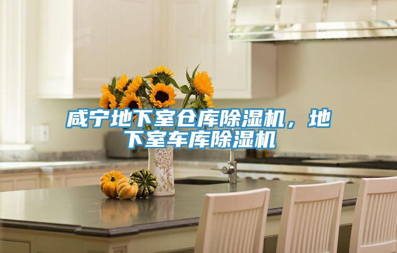 鹹寧地下室倉庫榴莲视频官网APP，地下室車庫榴莲视频官网APP