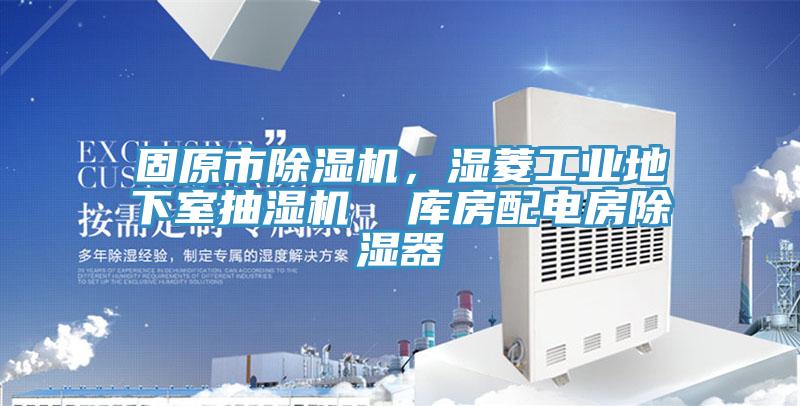 固原市榴莲视频官网APP，濕菱工業地下室抽濕機  庫房配電房除濕器