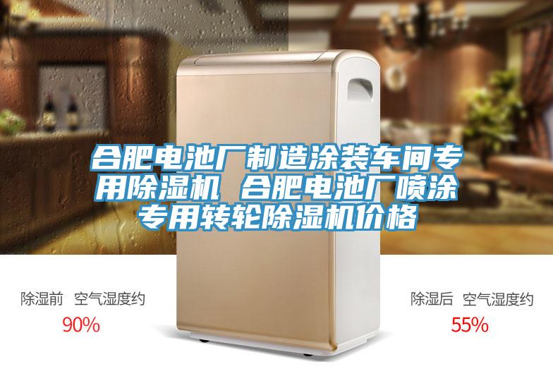 合肥電池廠製造塗裝車間專用榴莲视频官网APP 合肥電池廠噴塗專用轉輪榴莲视频官网APP價格