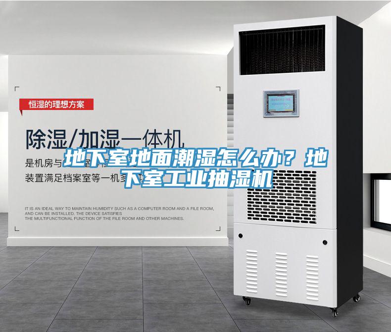 地下室地麵潮濕怎麽辦？地下室工業抽濕機