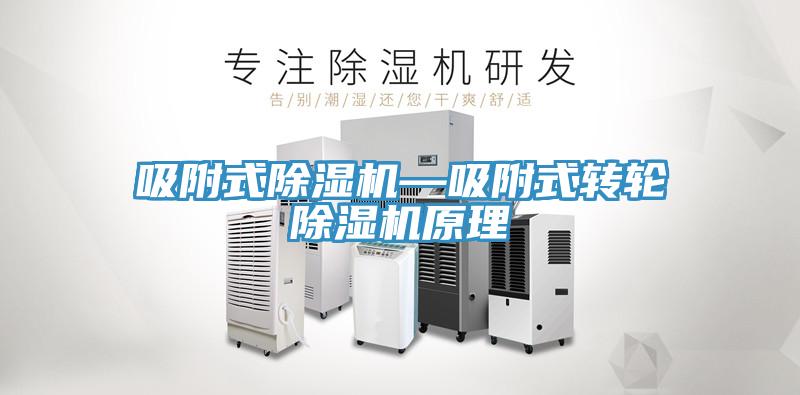 吸附式榴莲视频官网APP—吸附式轉輪榴莲视频官网APP原理