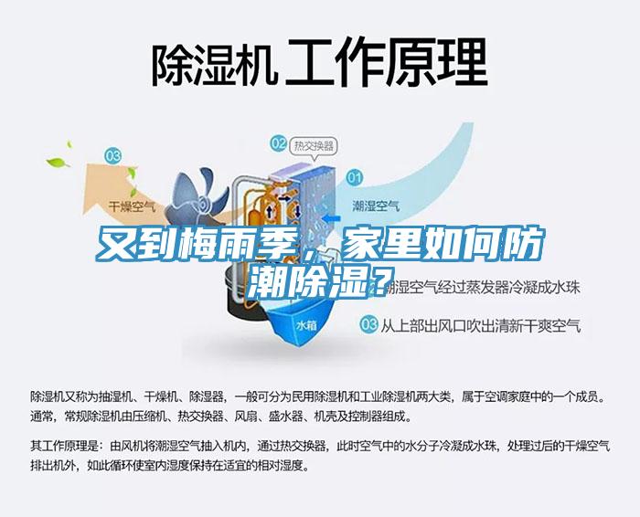 又到梅雨季，家裏如何防潮除濕？