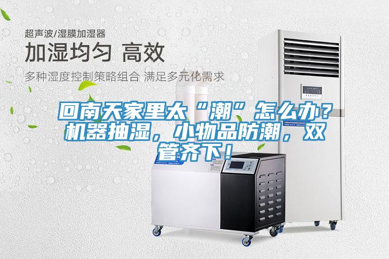 回南天家裏太“潮”怎麽辦？機器抽濕，小物品防潮，雙管齊下！