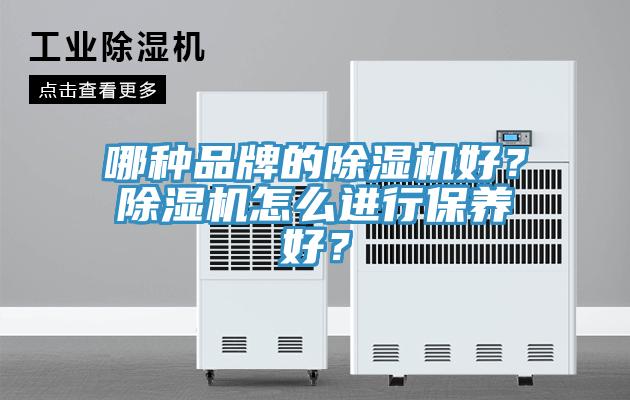 哪種品牌的榴莲视频官网APP好？榴莲视频官网APP怎麽進行保養好？