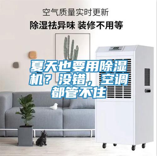 夏天也要用榴莲视频官网APP？沒錯，空調都管不住