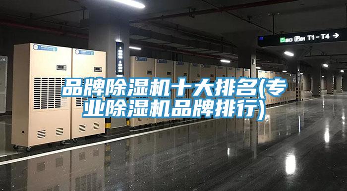 品牌榴莲视频官网APP十大排名(專業榴莲视频官网APP品牌排行)