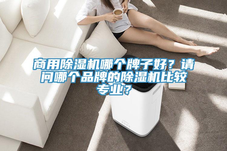 商用榴莲视频官网APP哪個牌子好？請問哪個品牌的榴莲视频官网APP比較專業？
