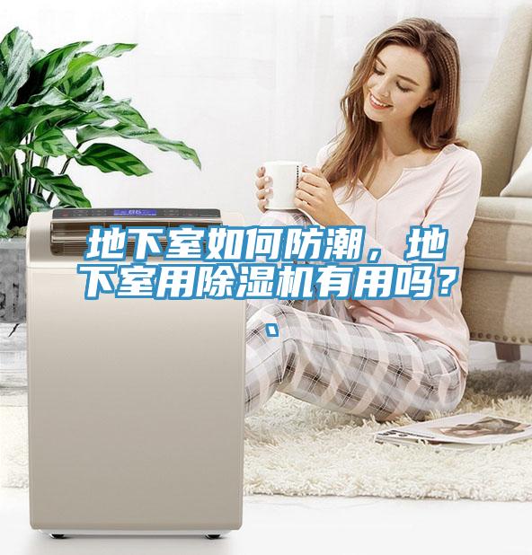地下室如何防潮，地下室用榴莲视频官网APP有用嗎？、
