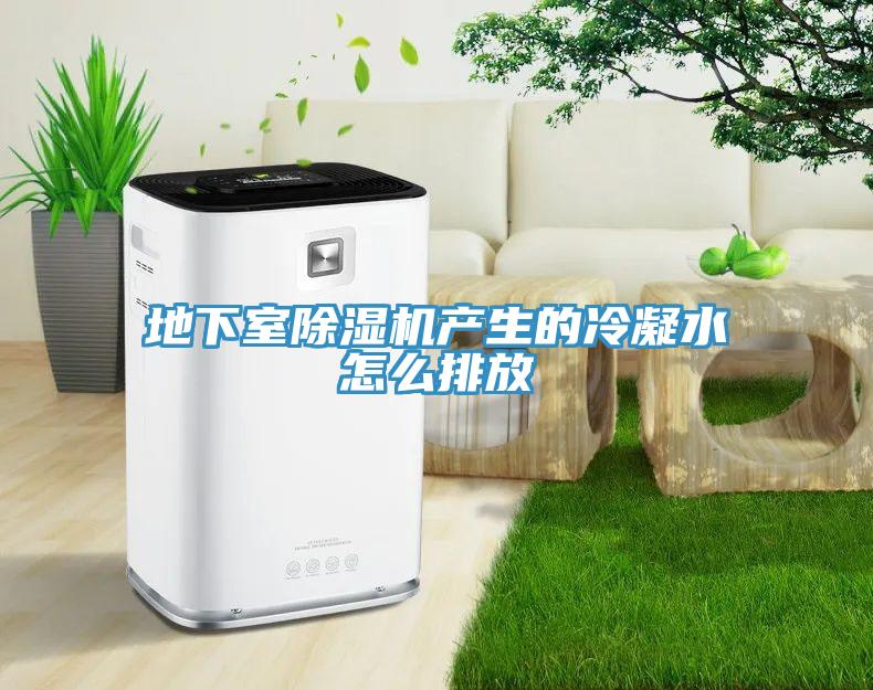 地下室榴莲视频官网APP產生的冷凝水怎麽排放