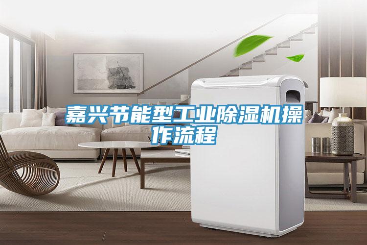 嘉興節能型工業榴莲视频官网APP操作流程