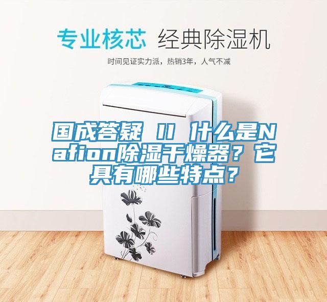 國成答疑 II 什麽是Nafion除濕幹燥器？它具有哪些特點？