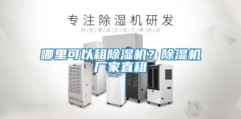哪裏可以租榴莲视频官网APP？榴莲视频官网APP廠家直租